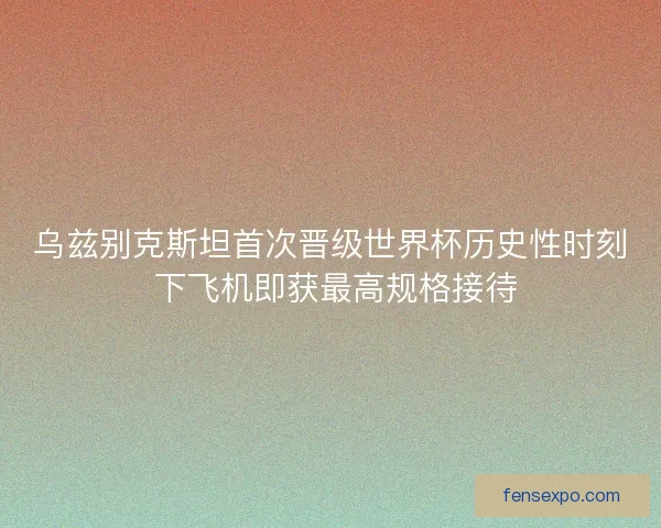 乌兹别克斯坦首次晋级世界杯历史性时刻 下飞机即获最高规格接待