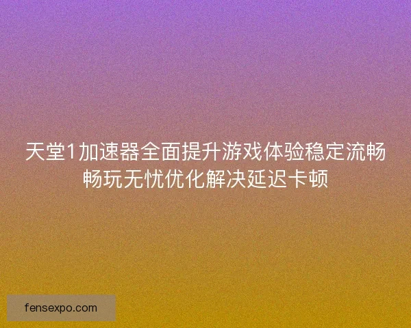 天堂1加速器全面提升游戏体验稳定流畅畅玩无忧优化解决延迟卡顿