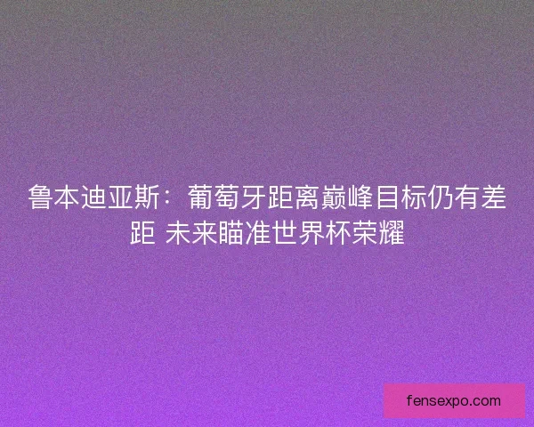 鲁本迪亚斯：葡萄牙距离巅峰目标仍有差距 未来瞄准世界杯荣耀